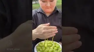 23 октября 2023 г.