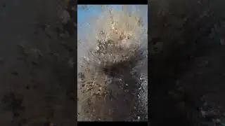 Стиль коты😺 