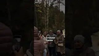а вы любите трупоездки 