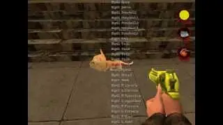 Postal 2: New Weapon Mod 