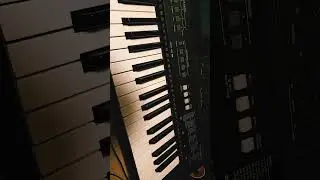 Особенности клавиатуры миди Roland A-300 PRO