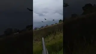 Greenpeace одобряет)))