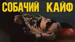 locacoxy - Собачий Кайф (Официальный клип | Official Music Video)