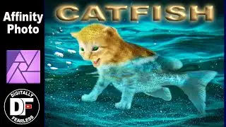 Affinity Photo Tutorial Catfish Photo Manipulation
