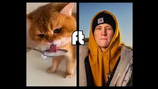 NumNum Cat X Nathan Evans (Wellerman  Remix)