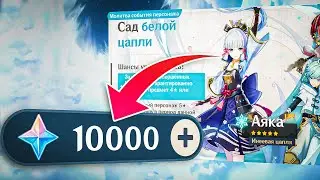 10K FREE PRIMOGEMS FOR THE NEW AYAKA BANNER IN GENSHIN IMPACT! Opening prayers Ayaka Genshin Impact!
