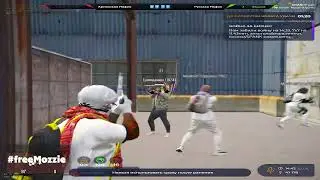 #freemozzie