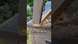 Time to clean Crypto Mining Solar Panels