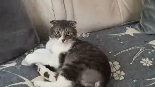 Федька и снежок.