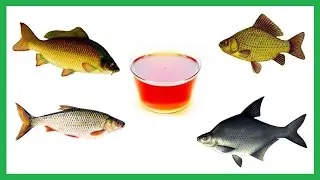 Vanilla Dip for Fishing based on sugar syrup. Fishing.