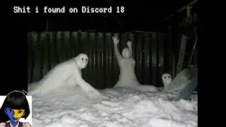 Shit i found on Discord 18