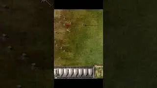 Жестокое Обращение с Животными в Stronghold