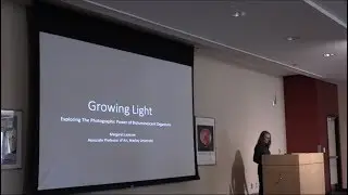 Margaret LeJeune Peoria Riverfront Museum Artist Talk