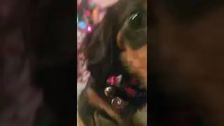 Vienna's first Christmas