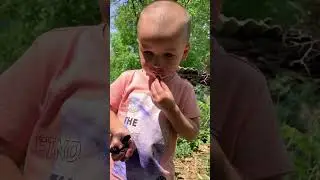 5 июня 2024 г.