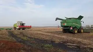 Уборка сои 2023 , поздняя ноябрь.