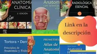 DESCARGA LIBROS DE ANATOMÍA PDF 100% GRATIS 2019  SIN VIRUS ✅📚📘📗👨‍⚕️👩‍⚕️ Actualizados