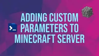 How to Add Custom Parameters to your Minecraft Server
