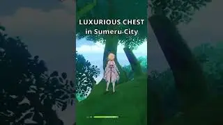 LUXURIOUS CHEST you might have missed in Sumeru City | Genshin Impact 