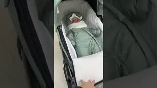 Детская коляска  Pituso Nino | Обзор