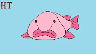How to draw a Blobfish