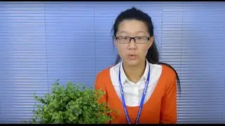 ChinaNetCloud - Why Work Here - Jiaquan