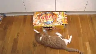 Baxter and Percy and the Beer Case Adventure