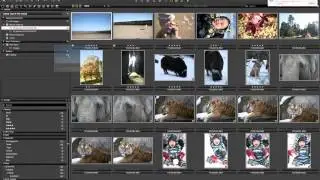 Workflow Suggestions in Capture One | Capture One webinar