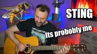 Sting - Its probably me (guitar cover)