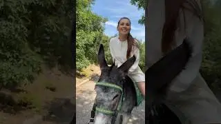 Твои мысли ?