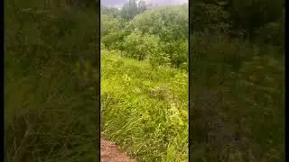 26 июня 2024 г.
