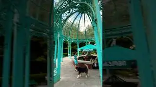Каникулы в #borjomi #travel #georgia #goldenretriever #mountains #риелтор #путешествия #shorts