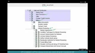 SAP SD Advanced Training 4.5 Rebate Config   1