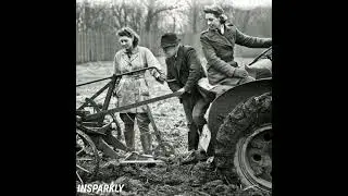 How World War 1 Changed Marriage Patterns In Europe #shorts #youtubeshorts