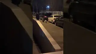 Свинья на выгуле