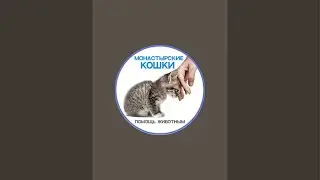 Забирают кошечку📍*СБЕРБАНК*   4276 3500 1341 5698 на Наталью  Е привязан +79192547760