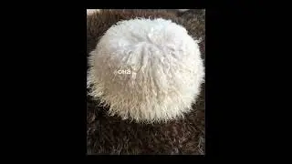 Хабиб лучший !