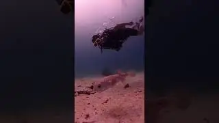 Старшая Доча покоряет подводный Мир.