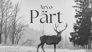 Arvo Pärt: The Beatitudes - Brussels Chamber Choir