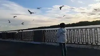 Чайки. Усть-Качка.