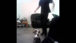 Dj blend shuffle!