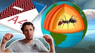 Почему ядро земли остывает, сколько деревьев вырубается на бумагу, сколько кг муравьев