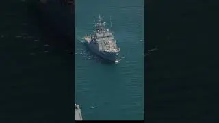 Día de las Fuerzas Armadas 2024