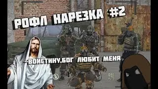 РОФЛ НАРЕЗКА #2 [ArmStalker]  | В МИРЕ ЖИВОТНЫХ