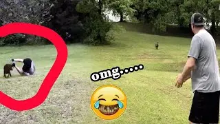 The Top Most Funniest Facts 2022 | Best Funny Videos of Dog