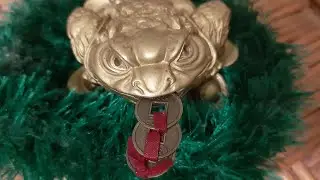 🐸 Жаба. Талисман Фен-шуй для привлечения богатства. Обзор Poly