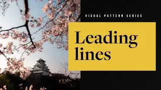 The Best Technique To Tell Stories In Your Images  — Photography Visual Patterns #3