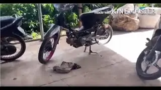 Troll Xe Của Nghĩa Tâm Thần Và Cái Kết..