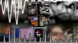 6. PROJECT NEK — overburned