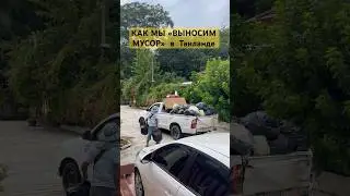 НАШИ БУДНИ В ТАЕ